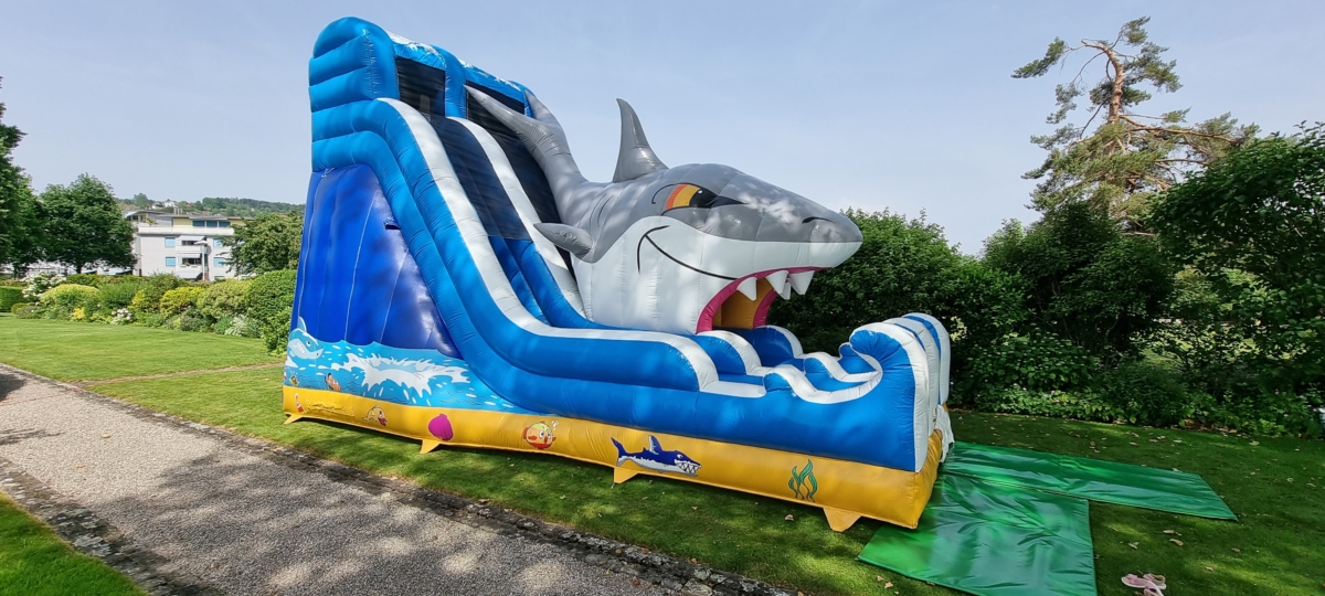 Riesenrutsche Hai – Bild 2