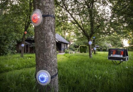 Interaktives Wettrennen