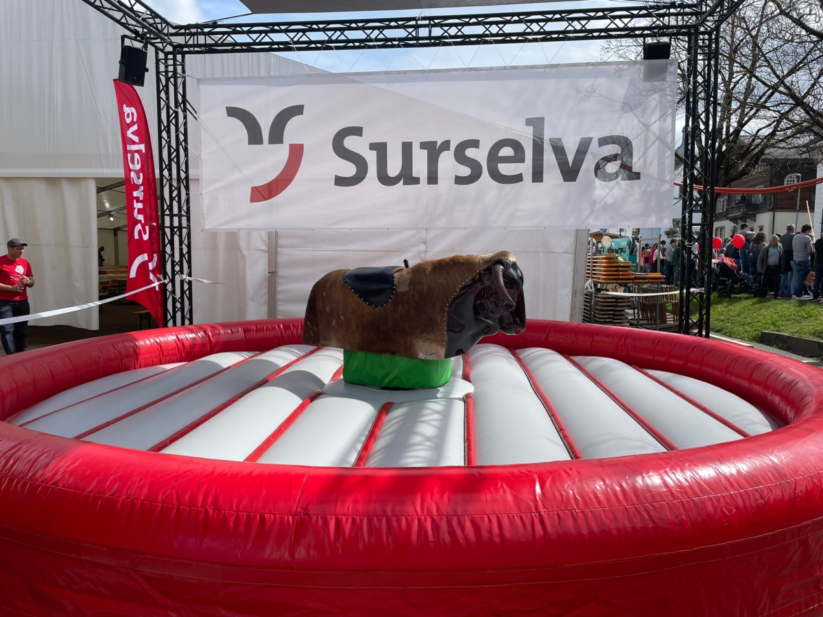 Bullriding Profi – Bild 6