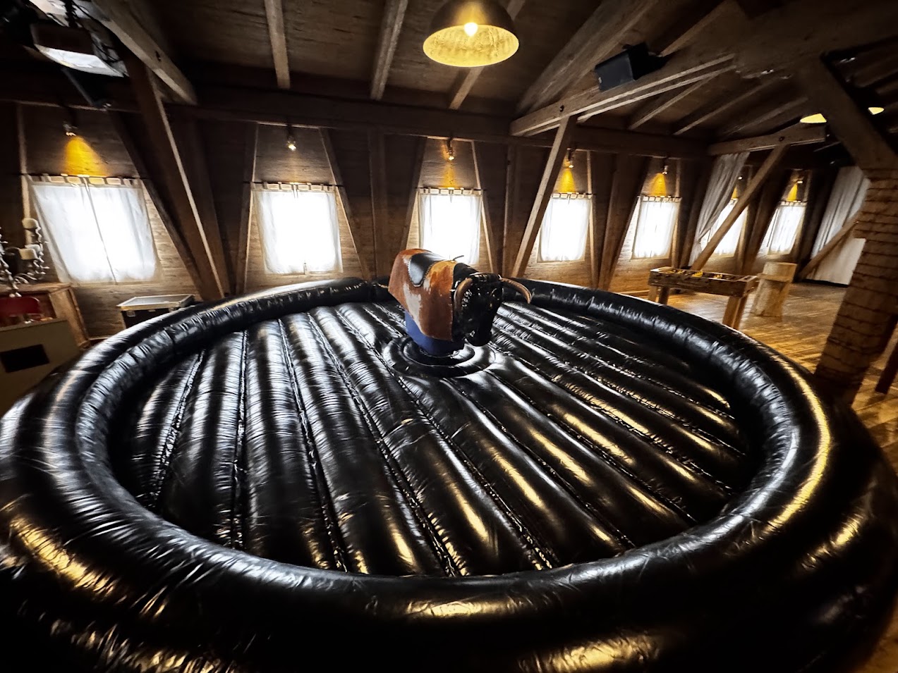 Bullriding Profi – Bild 7