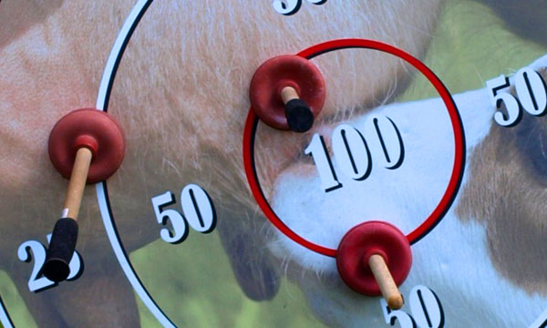 Pümpelwerfen – Bild 3