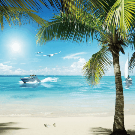 Fotobox Hintergründe