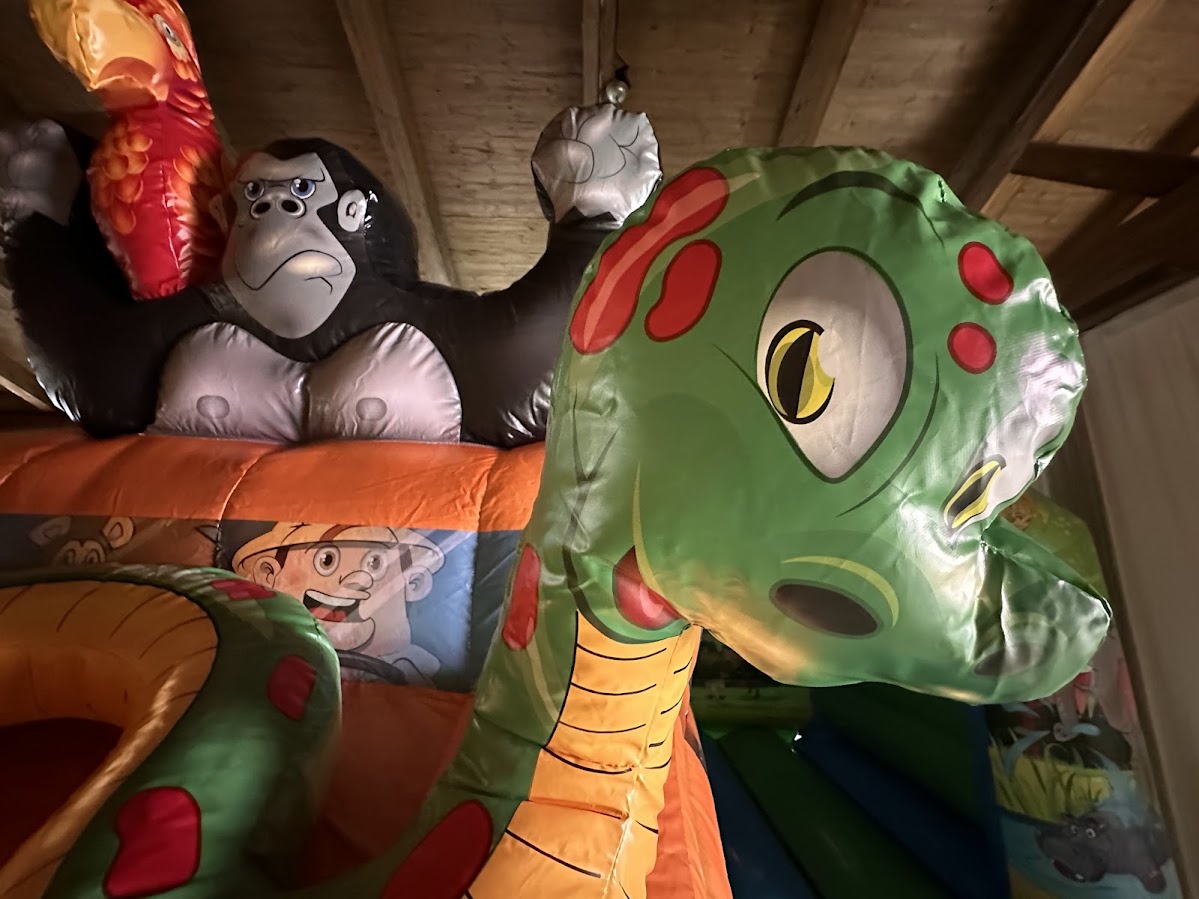 5 Meter Hüpfburg Safari – Bild 4