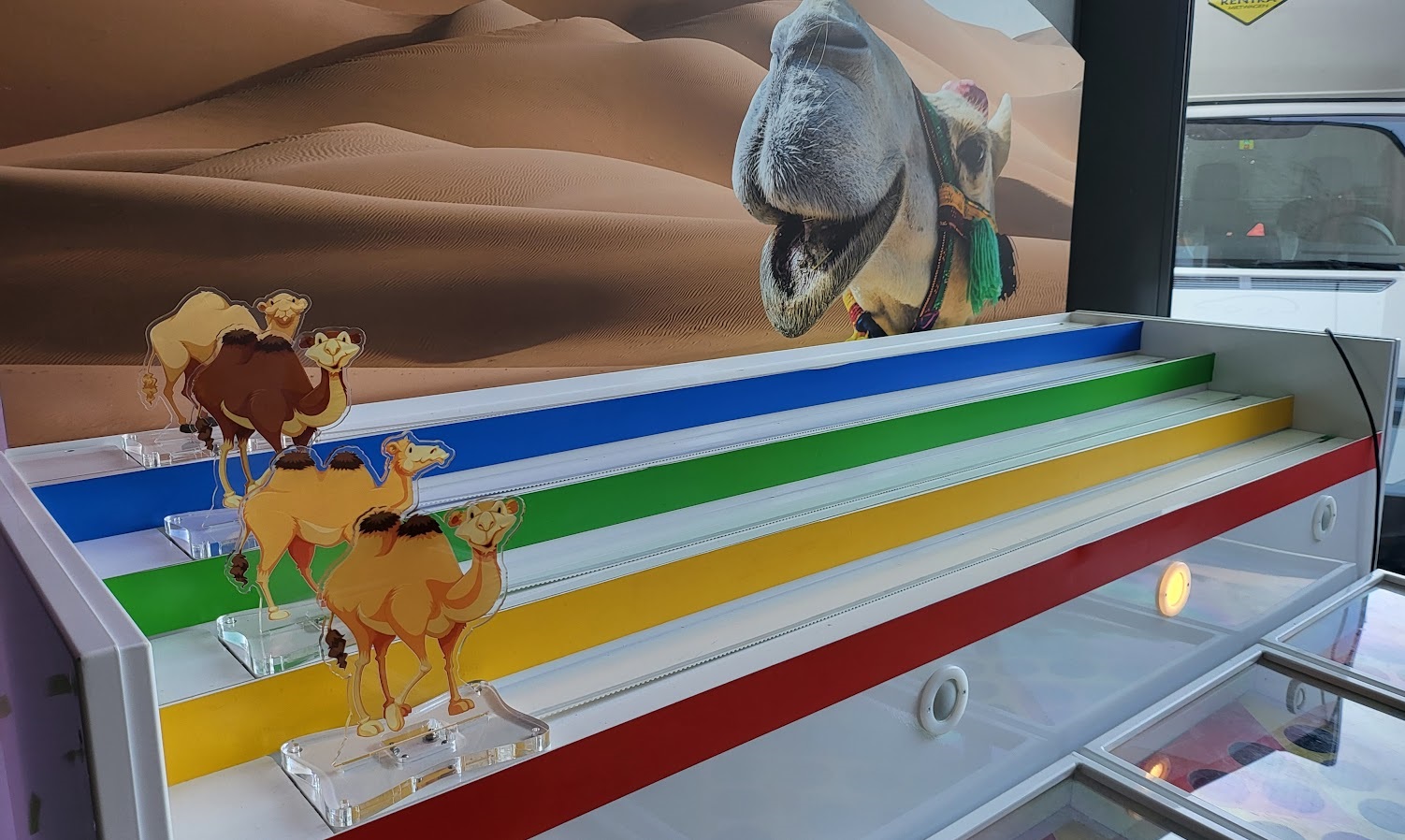 Kamelrennen 4 Personen – Bild 3