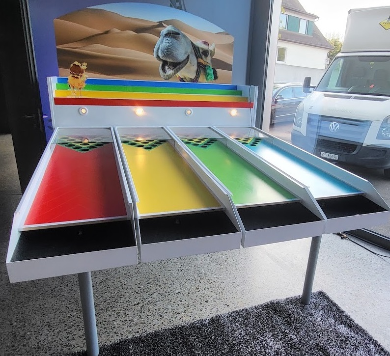 Kamelrennen 4 Personen – Bild 7