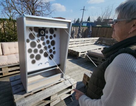 Käsespiel Tischversion