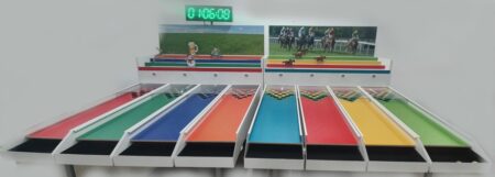 Pferde Derby 8 Personen