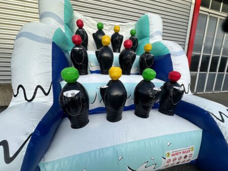 Ringewerfen Seelöwen