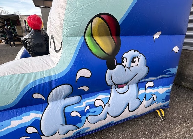 Ringewerfen Seelöwen – Bild 2